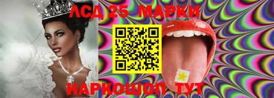 MDMA Гатчина