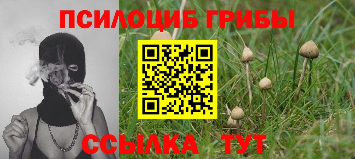 Галлюциногенные грибы GOLDEN TEACHER Нижнеудинск